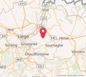 Map of Queue-du-Bois, Wallonia