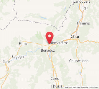 Map of Tamins, Grisons
