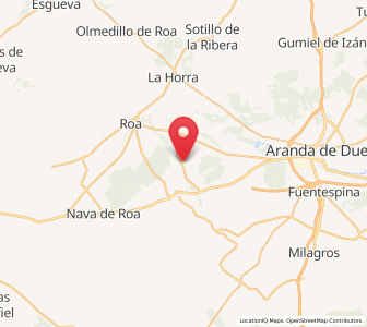Map of Hoyales de Roa, Castille and León