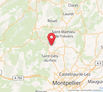 Map of Les Matelles, Occitanie