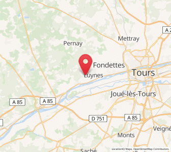 Map of Saint-Étienne-de-Chigny, Centre