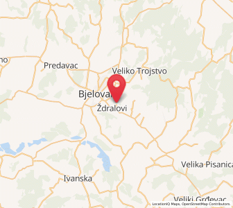 Map of Ždralovi, Bjelovar-Bilogora