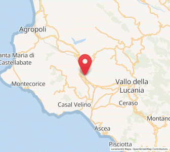 Map of Fasana, Campania