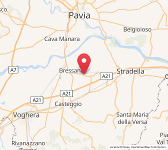 Map of Pinarolo Po, Lombardy