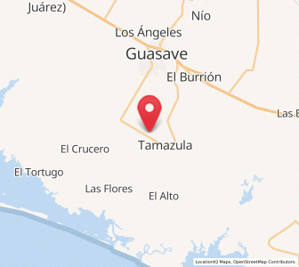 Map of Buen Retiro (El Retiro), Sinaloa