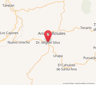 Map of Doctor Miguel Silva Macías, Michoacán