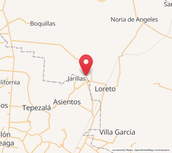 Map of Ejido Hidalgo, Zacatecas