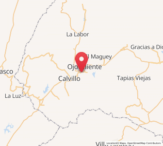 Map of El Cuervero (Cuerveros), Aguascalientes
