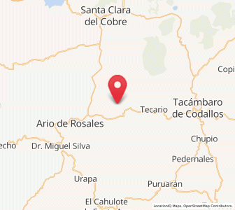 Map of El Tepamal, Michoacán