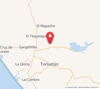 Map of El Tule, Jalisco