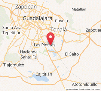 Map of El Verde, Jalisco