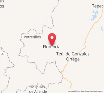 Map of Florencia, Zacatecas
