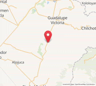 Map of Guadalupe Libertad, Puebla