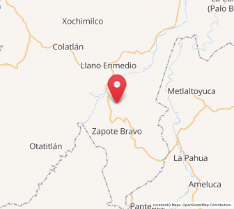 Map of Joya Chica, Veracruz