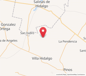 Map of La Ballena, Zacatecas