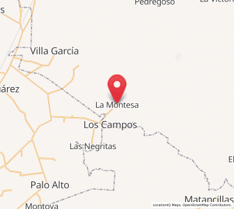 Map of La Montesa, Zacatecas