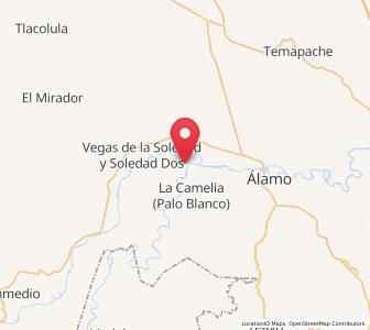Map of Las Flores Cinco Poblados, Veracruz