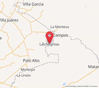 Map of Las Negritas, Aguascalientes