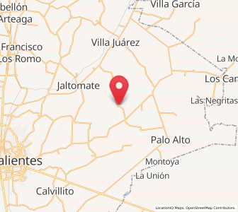 Map of Licenciado Jesús Terán (El Muerto), Aguascalientes