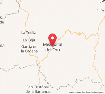 Map of Mezquital del Oro, Zacatecas
