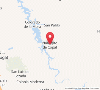 Map of Naranjito de Copal, Nayarit