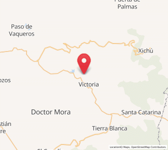Map of Palmillas, Guanajuato
