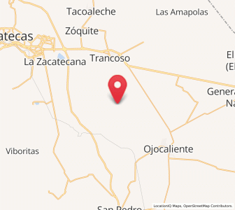 Map of Palmillas, Zacatecas