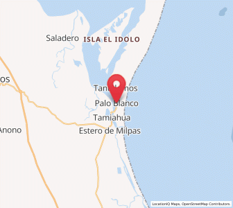 Map of Palo Blanco, Veracruz