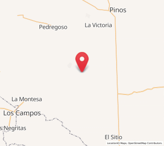 Map of Presa Nueva, Zacatecas