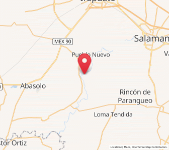 Map of Rincón de Alonso Sánchez, Guanajuato