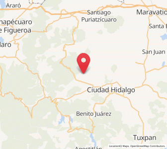 Map of Rincón de Rubios, Michoacán
