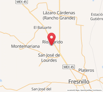 Map of San Ignacio, Zacatecas