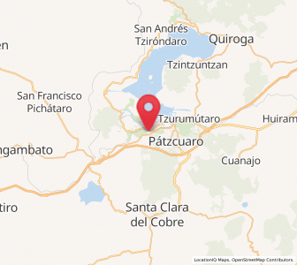 Map of Santa Ana Chapitiro, Michoacán