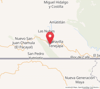 Map of Santo Domingo de las Palmas, Chiapas