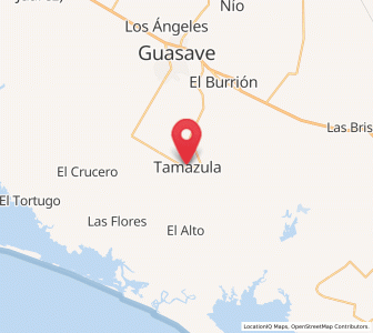 Map of Tamazula, Sinaloa