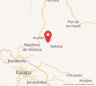 Map of Tepetlán, Veracruz