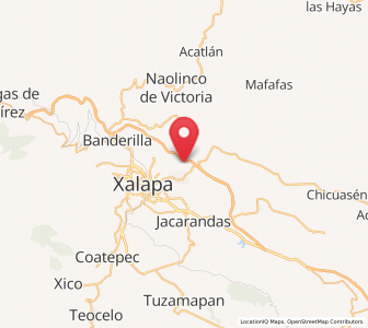 Map of Tronconal, Veracruz