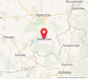 Map of Białaczów, Łódź Voivodeship