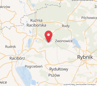Map of Bogunice, Silesia
