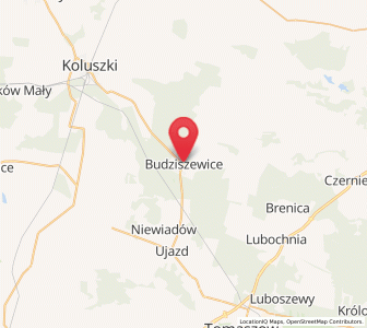 Map of Budziszewice, Łódź Voivodeship