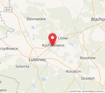 Map of Kochanowice, Silesia