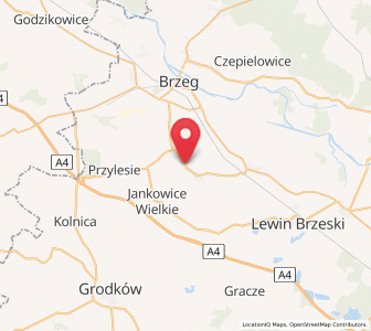 Map of Olszanka, Opole Voivodeship
