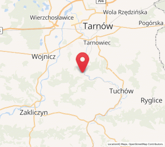 Map of Pleśna, Lesser Poland