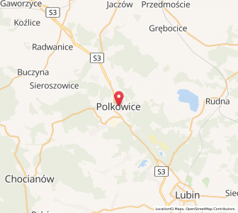 Map of Polkwitz, Lower Silesia