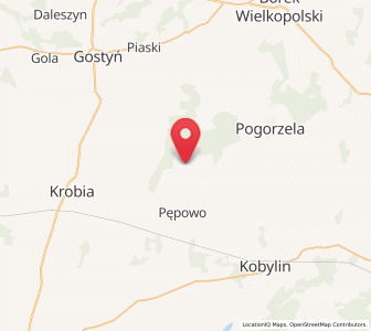 Map of Siedlec, Greater Poland