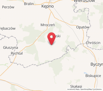 Map of Trzcinica, Greater Poland