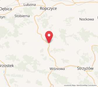 Map of Wielopole Skrzyńskie, Subcarpathia