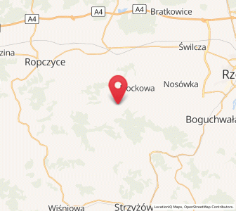 Map of Wiśniowa, Subcarpathia