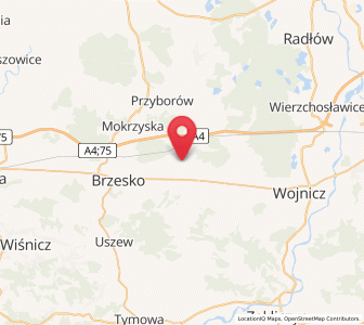 Map of Wola Dębińska, Lesser Poland
