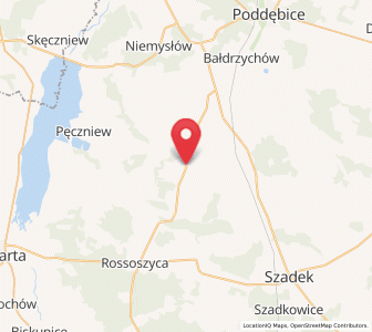 Map of Zadzim, Łódź Voivodeship